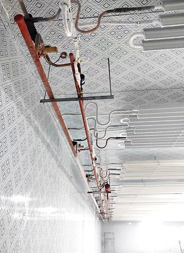 品質(zhì)優(yōu)選